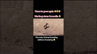 Kasongo again😂😂😂goviral PLEASE SUBSCRIBE FOR MORE MY LOVES [upl. by Yelsha]