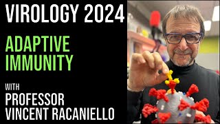 Virology Lectures 2024 14 Adaptive defenses [upl. by Nerti]