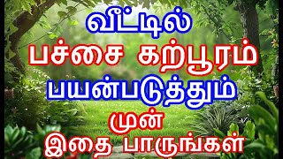 வீட்டில் பச்சை கற்பூரம் பயன்படுத்தும் முன் இதை பாருங்கள்  pachchai karpooramnammabhoominammasamy [upl. by Lorre]