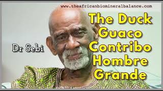 DR SEBI  THE DUCK GUACO CONTRIBO HOMBRE GRANDE IRON [upl. by Naleek]