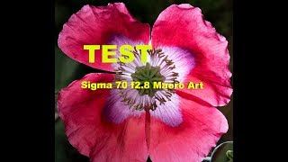 Sigma 70mm F28 DG Macro Art test pratico su mirrorless e reflex [upl. by Cohlier]