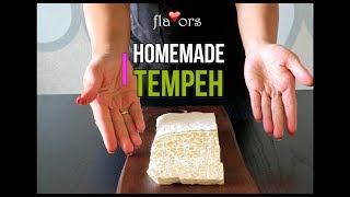 How to make Tempeh at home [upl. by Arahset692]