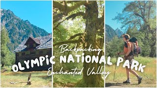 Backpacking Olympic National Parks Enchanted Valley [upl. by Hutner]