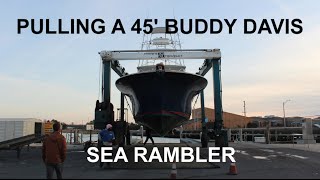 45 Buddy Davis Express Being Pulled  Sea Rambler [upl. by Kerrie555]