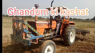 Tractor in Field with heavy 11 cultivator Wheat Crop rabi Cultivation Gandum Ki Kasht In Pakistan [upl. by Raila]