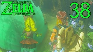 38 Secret Riddles Of Hyrule Lets Play Legend Of Zelda Breath Of The Wild [upl. by Faustus]