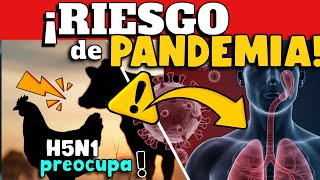 ¿Nueva Pandemia en Camino El Virus H5N1 Preocupa a Expertos [upl. by Gennaro]