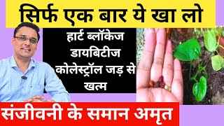 3 दिन में फर्क दिखने लगता हैdiabetes cholesterolheart blockage में चमत्कारी फायदेimmunity बढ़ाए [upl. by Sirkin652]