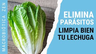 Cómo DESPARASITARTE y LAVAR una LECHUGA 🥬 [upl. by Terza963]