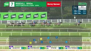 Hill Stakes 2024  ATTRITION 3YO WFA G2 Group 2 Rosehill 12 October [upl. by Iraj]