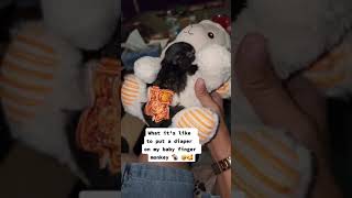 What Its Like To Put A Diaper On My Baby Finger Monkey 🐒 🤣🥰 [upl. by Idonah977]