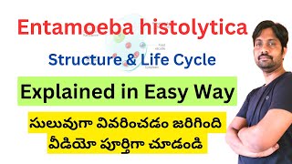 Entamoeba histolytica Structure and Life cycle [upl. by Anelrahc]