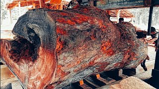 Ancient monster big tree log sawmilling Amazing hardworking wood work project bigsawmillmachine [upl. by Orabla]