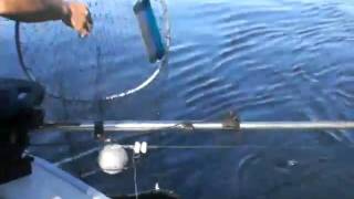 Salmon fishing with Ketchikan Charter Boats Inc [upl. by Lysander]