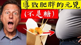 肥胖的元兇！不是糖自然療法柏格醫生 Dr Berg [upl. by Elspeth31]