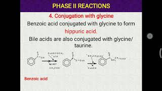 Xenobiotics part 2 Phase 2 and 3 reactions [upl. by Baxie]