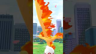 Phoenix is back 🔥  Moltres raid pokemon go anime gameplay [upl. by Kulda]