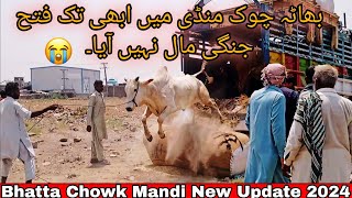 Bhatta Chowk Mandi Latest Update 2024 [upl. by Dotti]