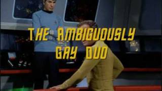 KirkSpock  The Ambiguously Gay Duo IN SPACE [upl. by Stortz]