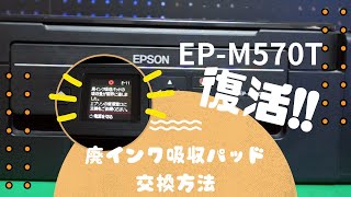 EPSON EPM570T プリンター廃インク吸収パッド交換方法 [upl. by Einnahc]