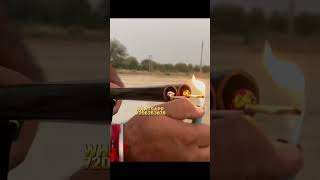 Diwali dhamaka toy gun airsoftgun diwalispecial ytshorts shortsvideo shortshorts shorts [upl. by Sneed]