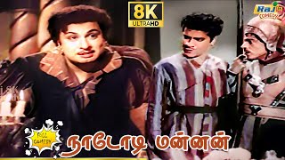 Nadodi Mannan Movie 8K Full Comedy  M G Ramachandran  P Bhanumathi  Chandrababu  Raj 8k Comedy [upl. by Athena]