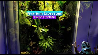 Vivarium Ecosystem Build update  Bioactive Dart frog Terrarium [upl. by Fine870]