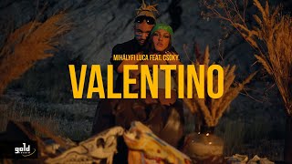 Mihályfi Luca feat Csoky  Valentino OFFICIAL MUSIC VIDEO [upl. by Ahsurej695]