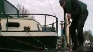 Snoek onder de boot [upl. by Akemit]