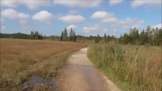 Von Murnau nach Uffing am Staffelsee entlang [upl. by Gokey]