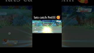 lats catch Petilil 🥰 shorts pokemon pokemonmobile pinakgaming [upl. by Ronica526]