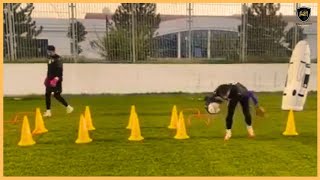 Professional Goalkeeper Training [upl. by Winny]