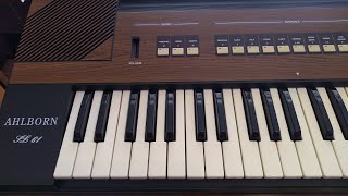 A New Organ In My Set Up  Ahlborn SL61 [upl. by Dena]