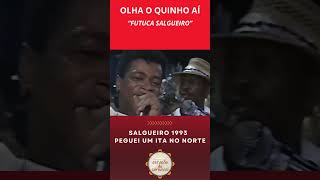 Quinho do Salgueiro  Salgueiro 1993 Peguei um Ita no Norte riodejaneiro shorts [upl. by Ecnahc]