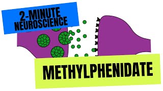 2Minute Neuroscience Methylphenidate [upl. by Alleinnad]