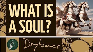 What is the Human Soul [upl. by Elysia]