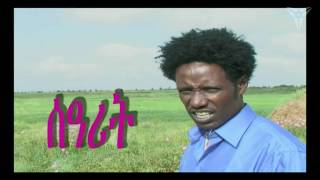 Beraki Gebremedhin  Searit  Eritrean Music [upl. by Delaryd]