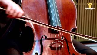 Andrei Ionita si Arthur Bocaneanu  Jules Massenet  Thais Meditation [upl. by Chitkara135]