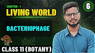 Bacteriophage in Tamil  Living World Tamil 6  Class 11 Botany State Board [upl. by Garbers]