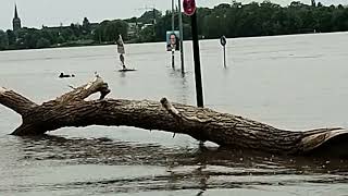 Hochwasser in Mondorf [upl. by Irotal]