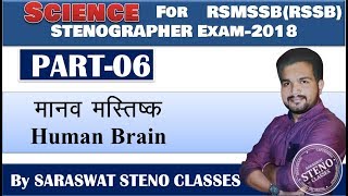 मानव मस्तिष्‍क II HUMAN BRAIN II BIOLOGY II RSMSSB STENO EXAM II BY Piyush Sir [upl. by Roid]