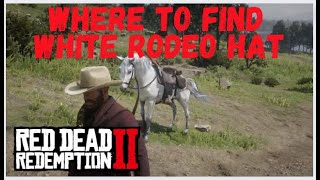 Where to find this secret hat in Red Dead Redemption 2 sometimes [upl. by Dell982]