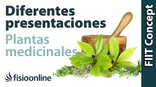 Diferentes presentaciones de las plantas medicinales [upl. by Suh]