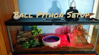 Ball Python Setup 20 gallon [upl. by Amekahs4]