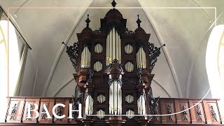 The Schnitger organ in Uithuizen  Netherlands Bach Society [upl. by Aven572]