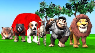 Dog Lion Buffalo Monkey Rabit Mouse Turtle Chicken Pig Wild Animals Crossing Fountain  P1 [upl. by Issie]