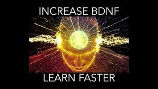 How to increase BDNF [upl. by Hotze]