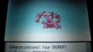 Pokemon Pearl Shiny Skorupi Evolves [upl. by Raffaj]