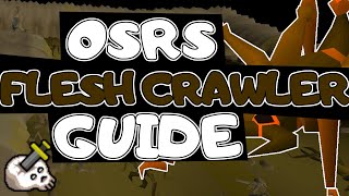 OSRS Flesh Crawler Slayer Guide 2022 [upl. by Girand]