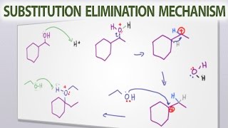 SN1 Reaction [upl. by Emse]